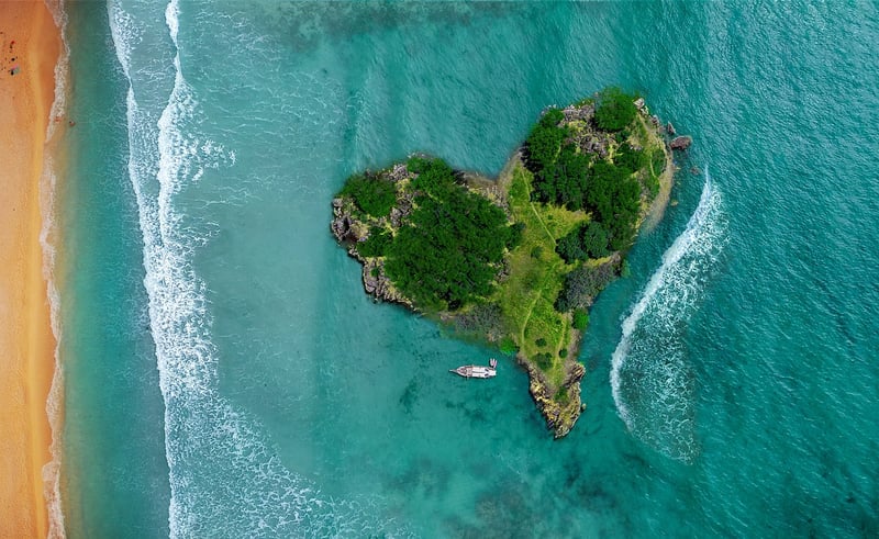 Maldives Tropics